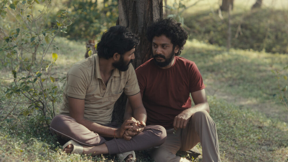 Two men sit by a tree, holding hands, in a scene reminiscent of the Cactus Pears blog.