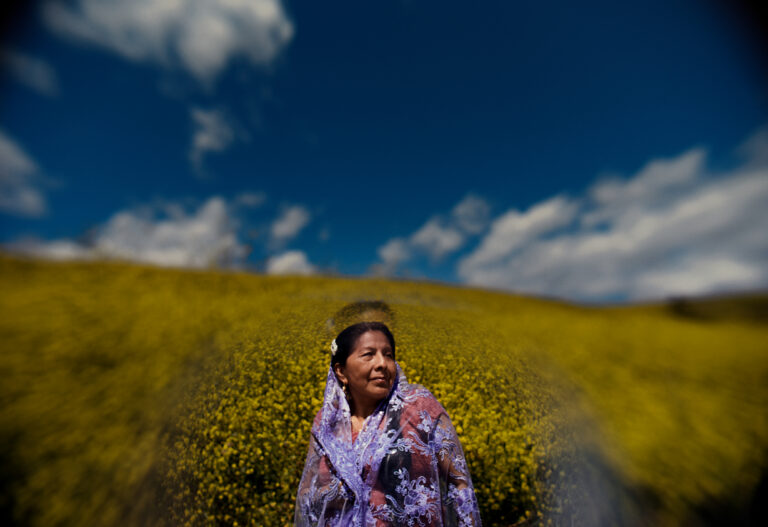 Woman in shawl stands in field of yellow flowers under blue sky.