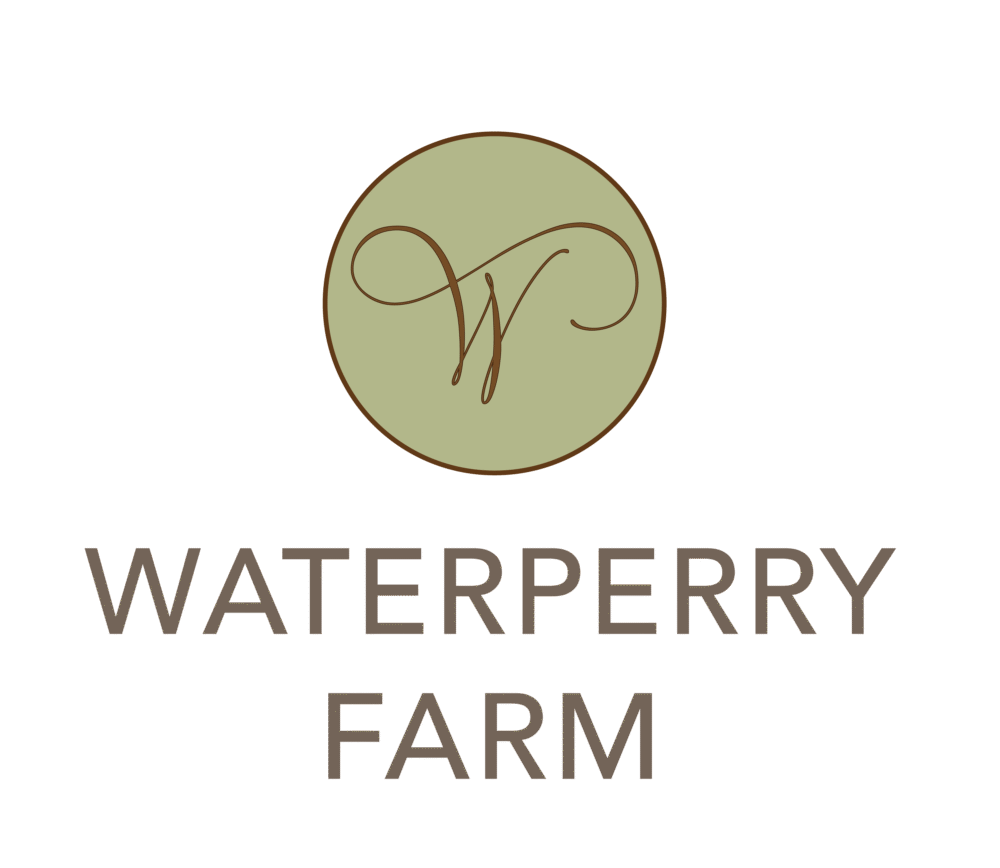 Logo for 